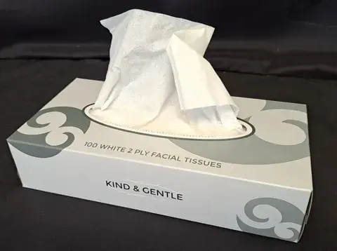 Tissues Facial Box 100's - Hygiene Direct