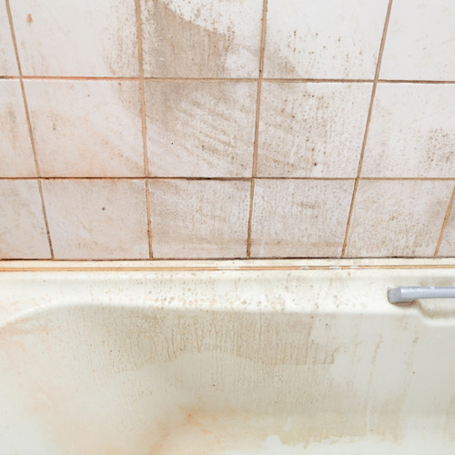 What Bio-zyme Found in a “Clean” Bath Might Surprise You
