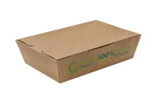 Take Away Box KRAFT PLA - Medium Carton  200    - Green Choice